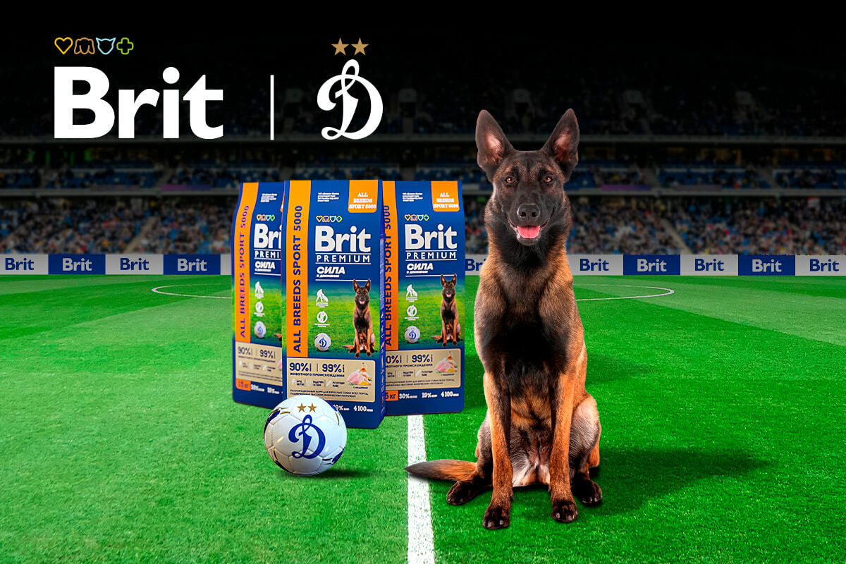 La marca de alimentos para gatos y perros Brit — nuevo socio del FC "Dynamo"