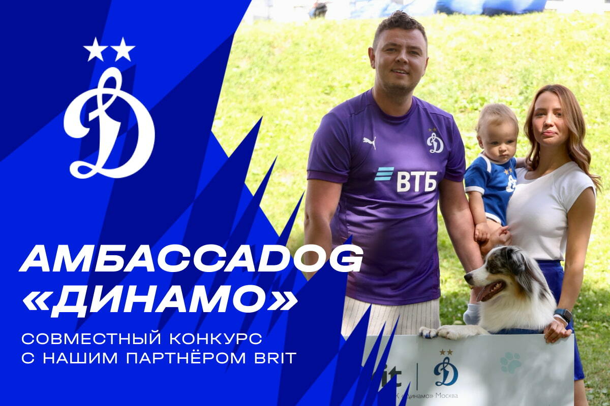 The AmbassaDOG of Dynamo: a joint contest with our partner Brit