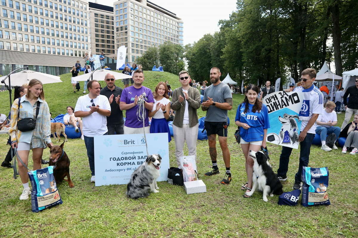 Australian Shepherd Daisy Will Be Dynamo's Mascot for the 2024/25 Season | News of  FC Dynamo Moscow